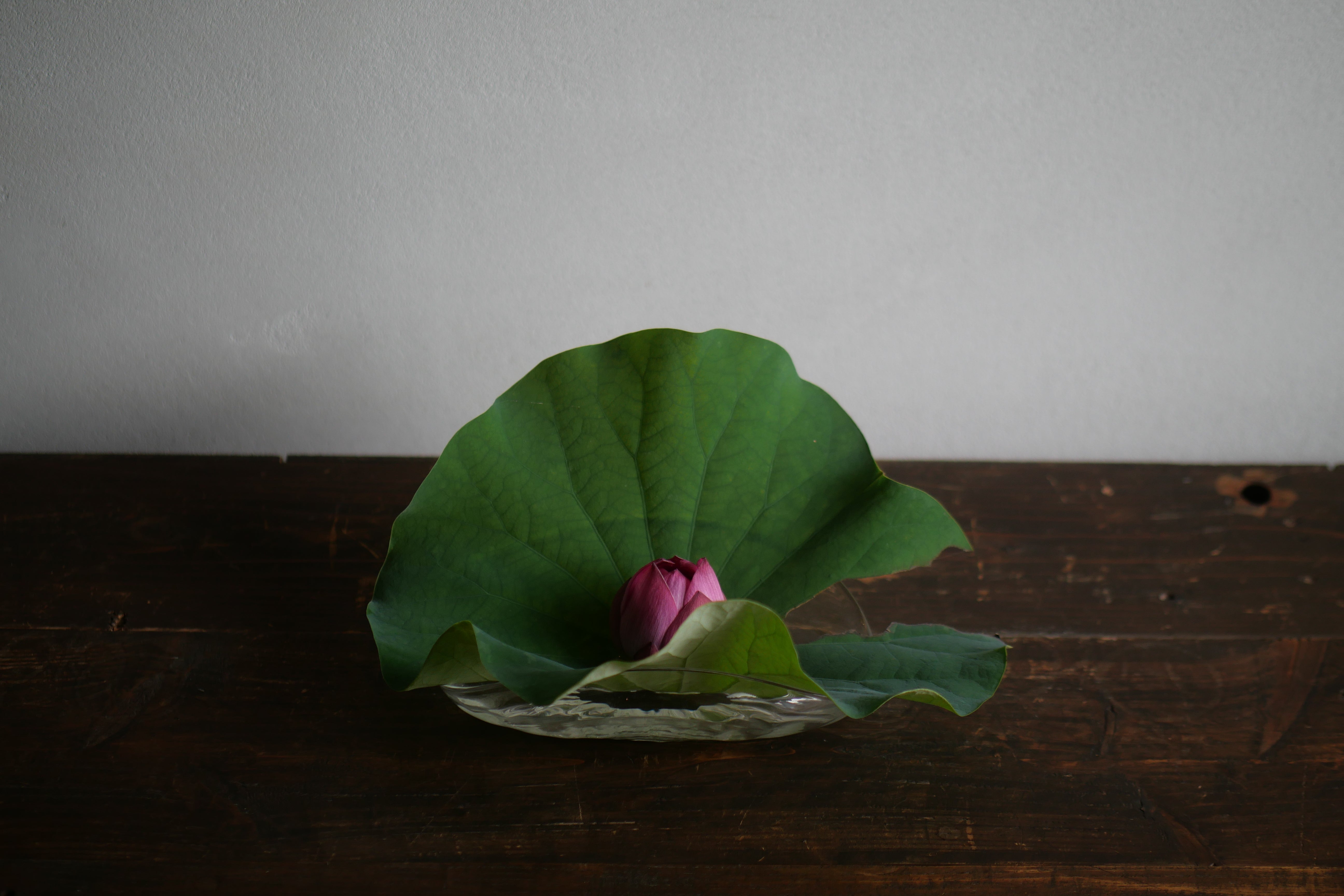 62D9EED2-9DB4-4354-8881-