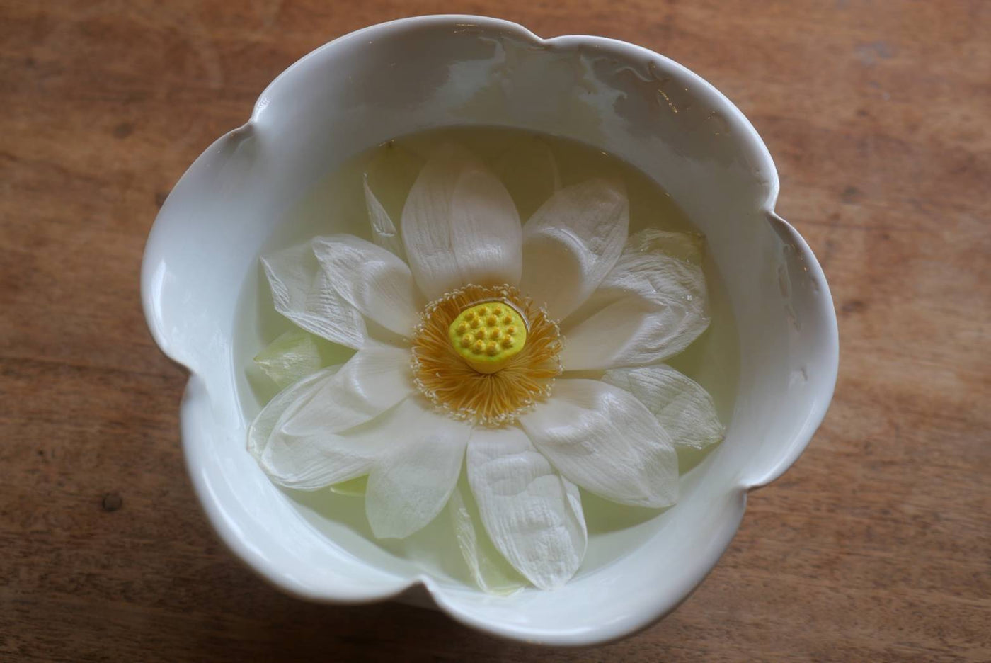 うすき皿山『蓮を愉しむ会』と『 堀口一子　蓮茶会・夜茶学8月』のご案内　2025.夏