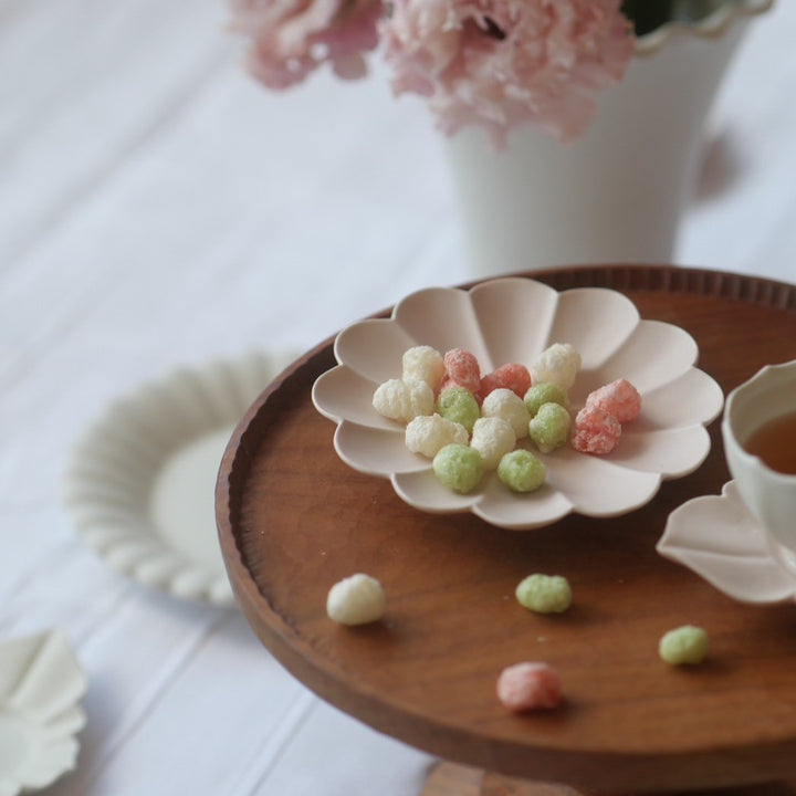 臼杵焼 輪花十二弁浅鉢 白 計８枚 新品３枚 使用済５枚 セット 臼杵焼 輪花十二弁浅鉢18cmホワイト